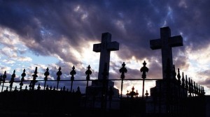 Rural Cemetery in Canberra
