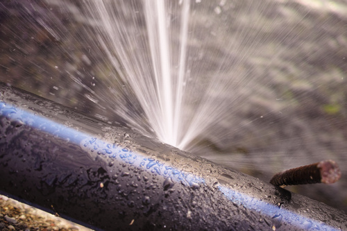 Emergency Sammamish bursted pipe services in WA near 98075