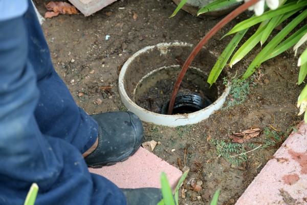 Affordable Ballard septic line repair in WA near 98117