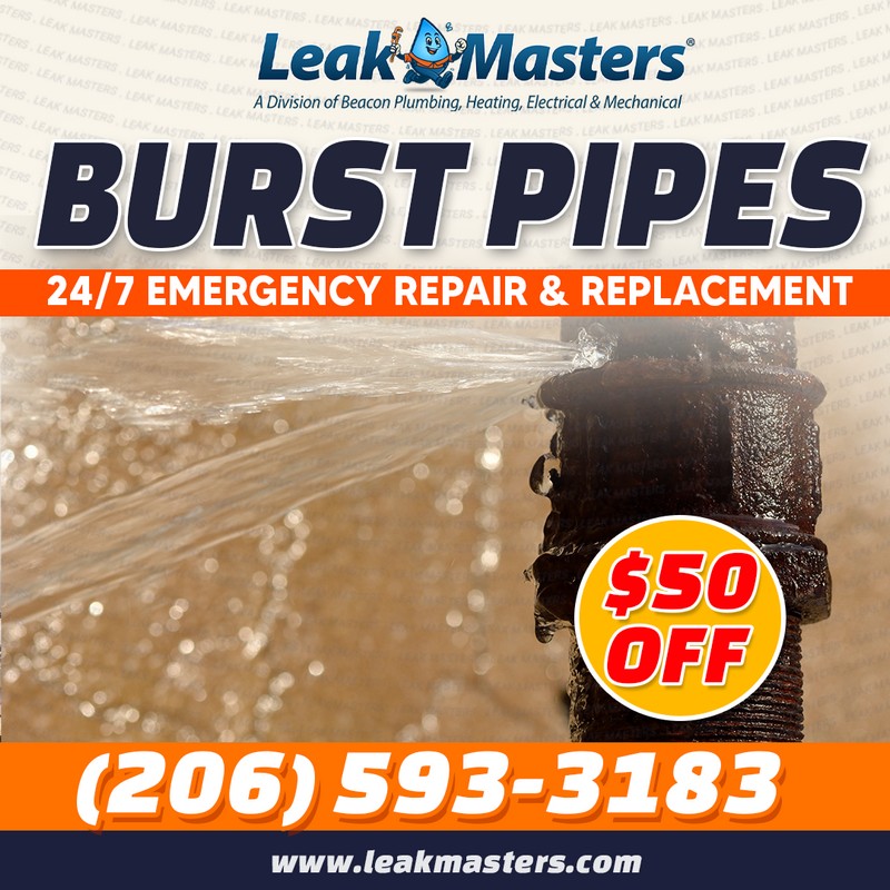 Burst Water Pipes Federal Way
