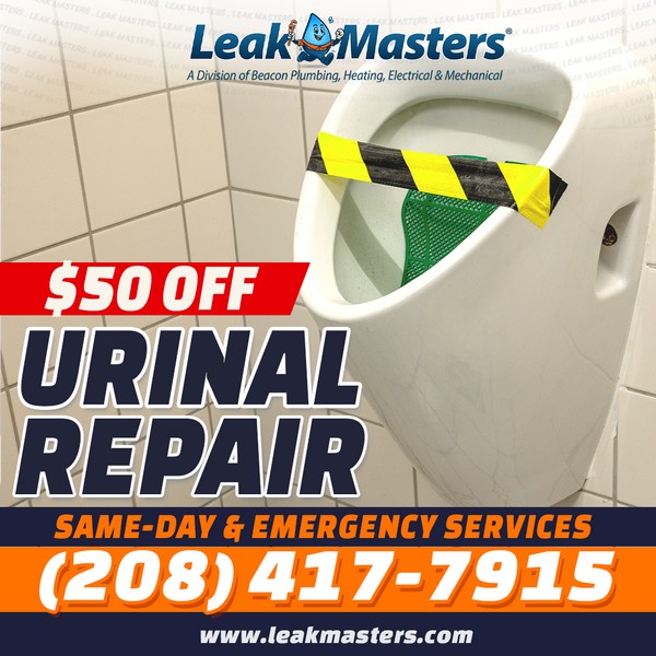 Meridian Repairing Toilets