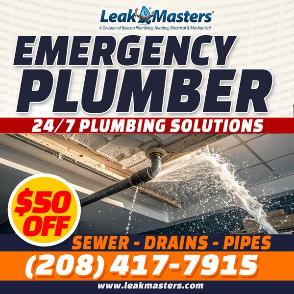 Boise Tankless Water Heater