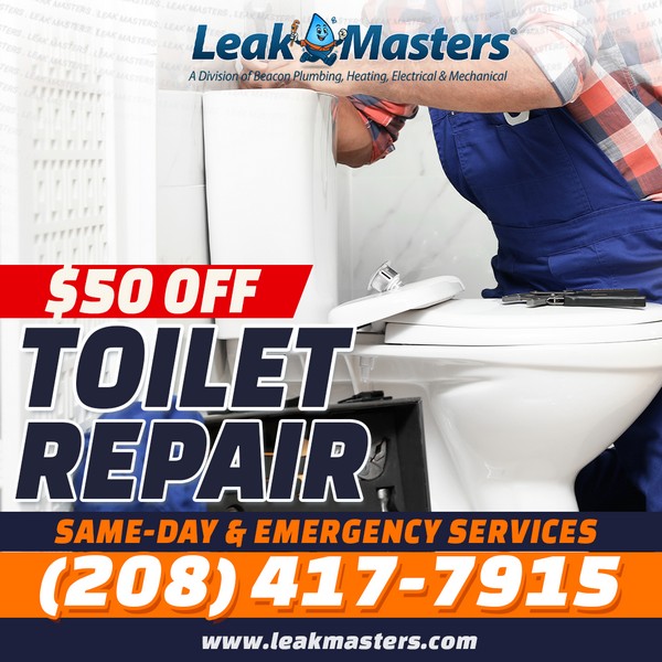 Meridian Toilet Repair