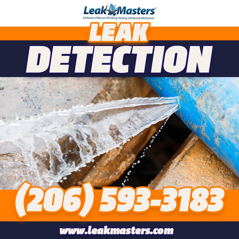 Bonney Lake Pipe Leak Repair