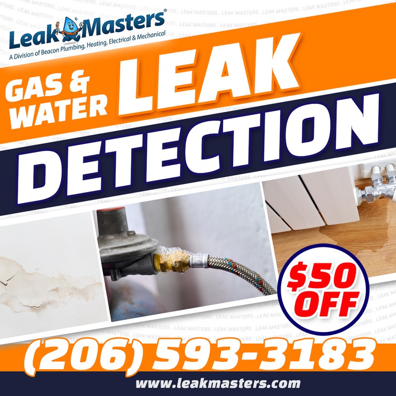 Payette Water Leak Detection Services