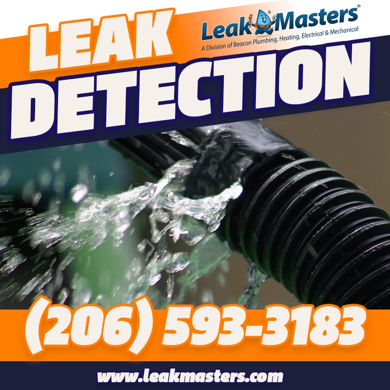 Bainbridge Island Water Leaks